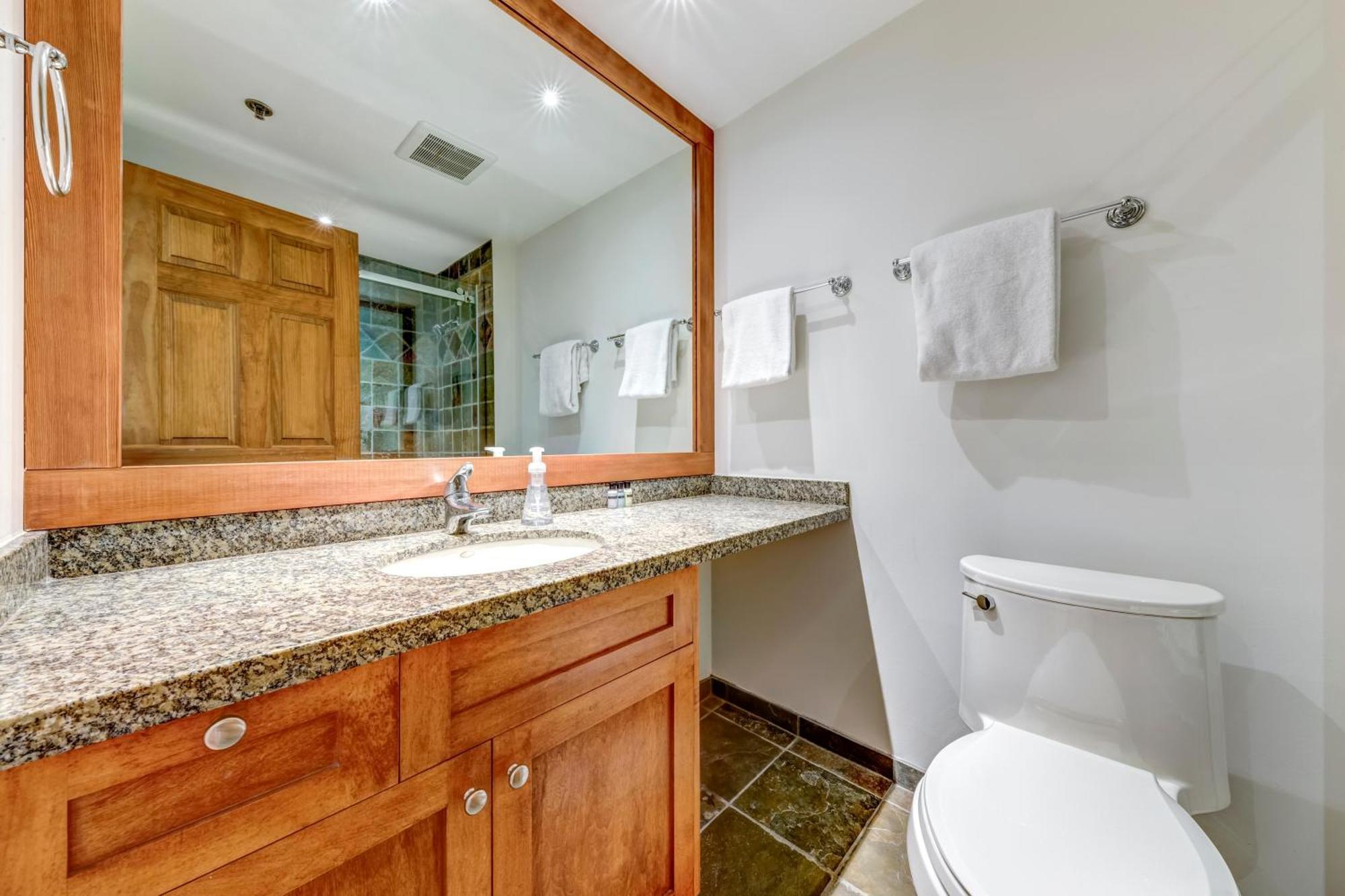 Greystone 102 Ski-in Out Holiday home
