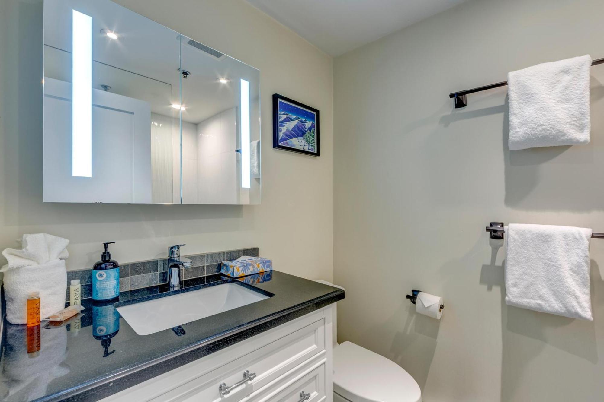 Greystone 113 Ski-in Out Holiday home