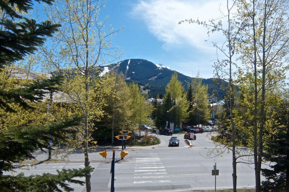 Glacier's Reach 115b * Whistler