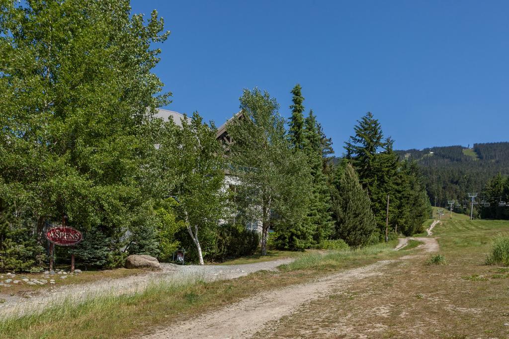 Aspens Mountain Side * Whistler