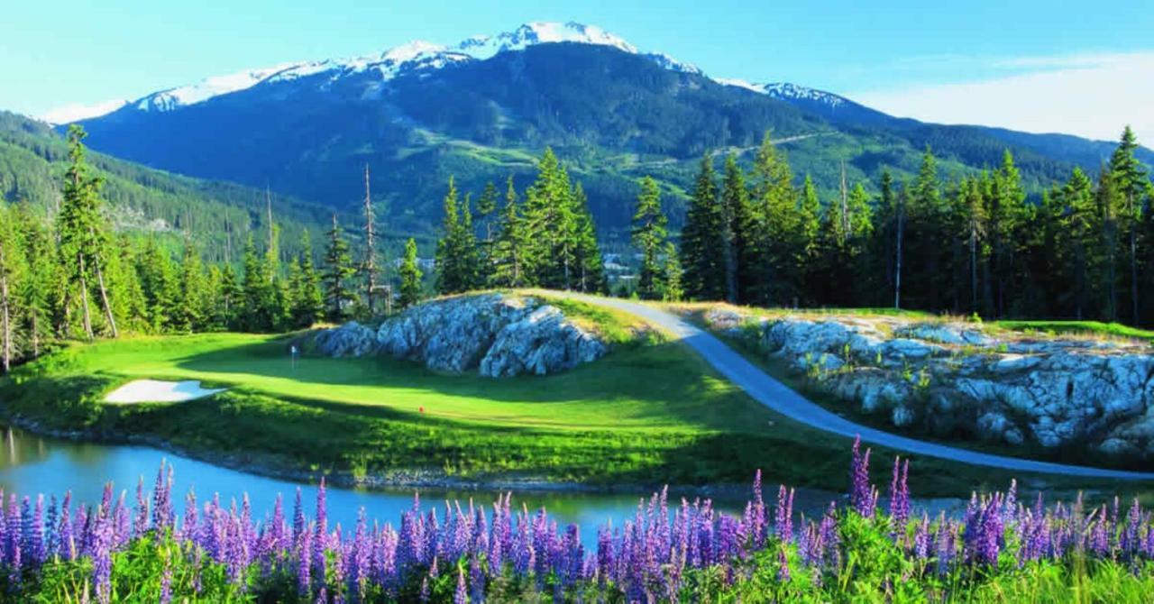 Bright At In/out Glacier Lodge!