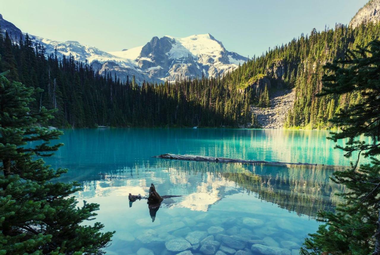 Impeccable Glacier W Pool+hot Tub Apartment Whistler